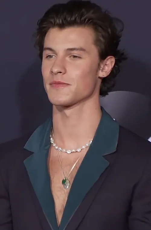 Shawn Mendes — celebrity birth chart